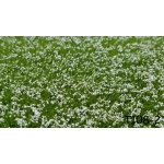 Tappeto erboso T108-2